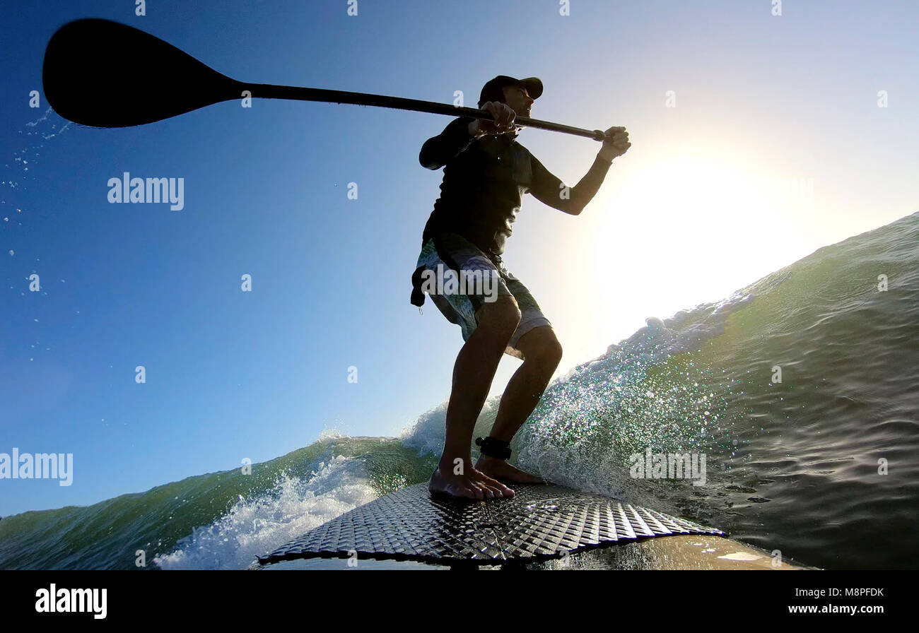 Standup paddle board surf une vague au lever du soleil Banque D'Images