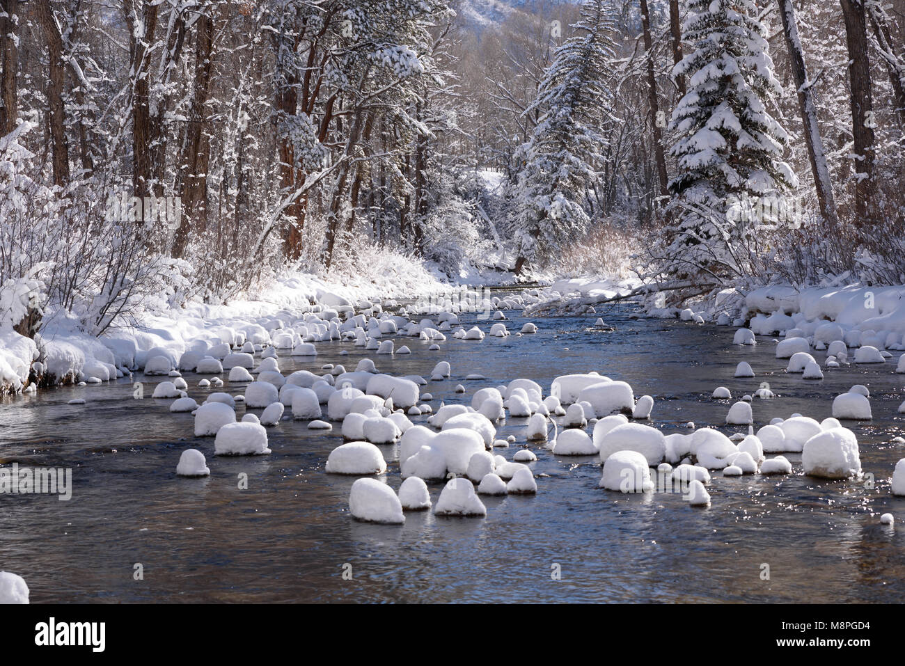 Aspen Winter Wonderland Banque D'Images
