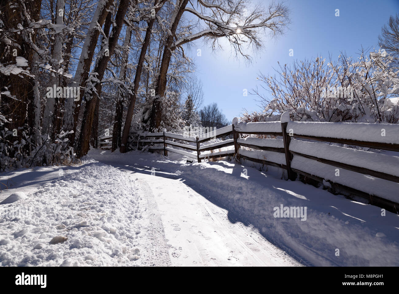 Aspen Winter Wonderland Banque D'Images