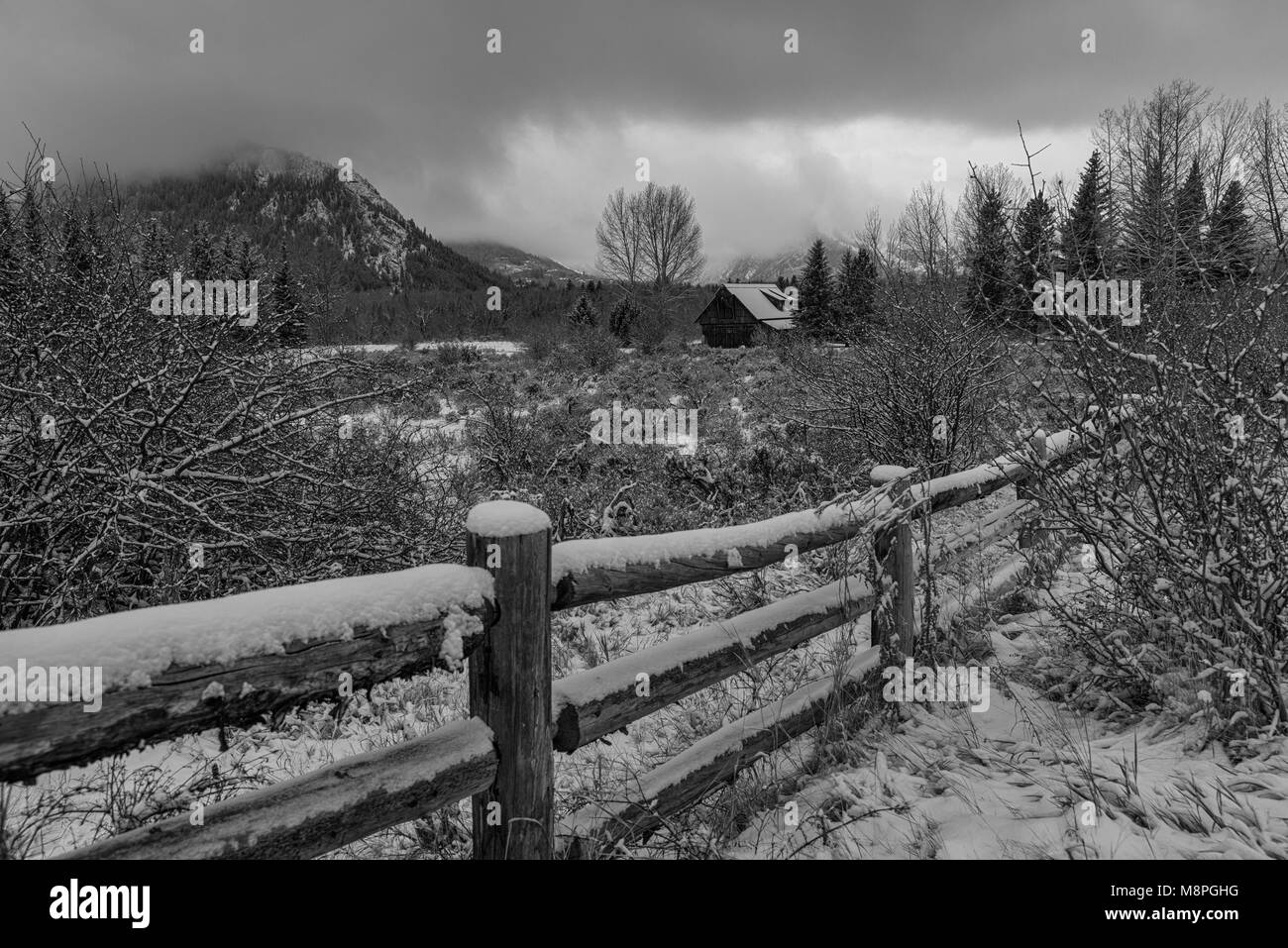 Aspen Winter Wonderland Banque D'Images