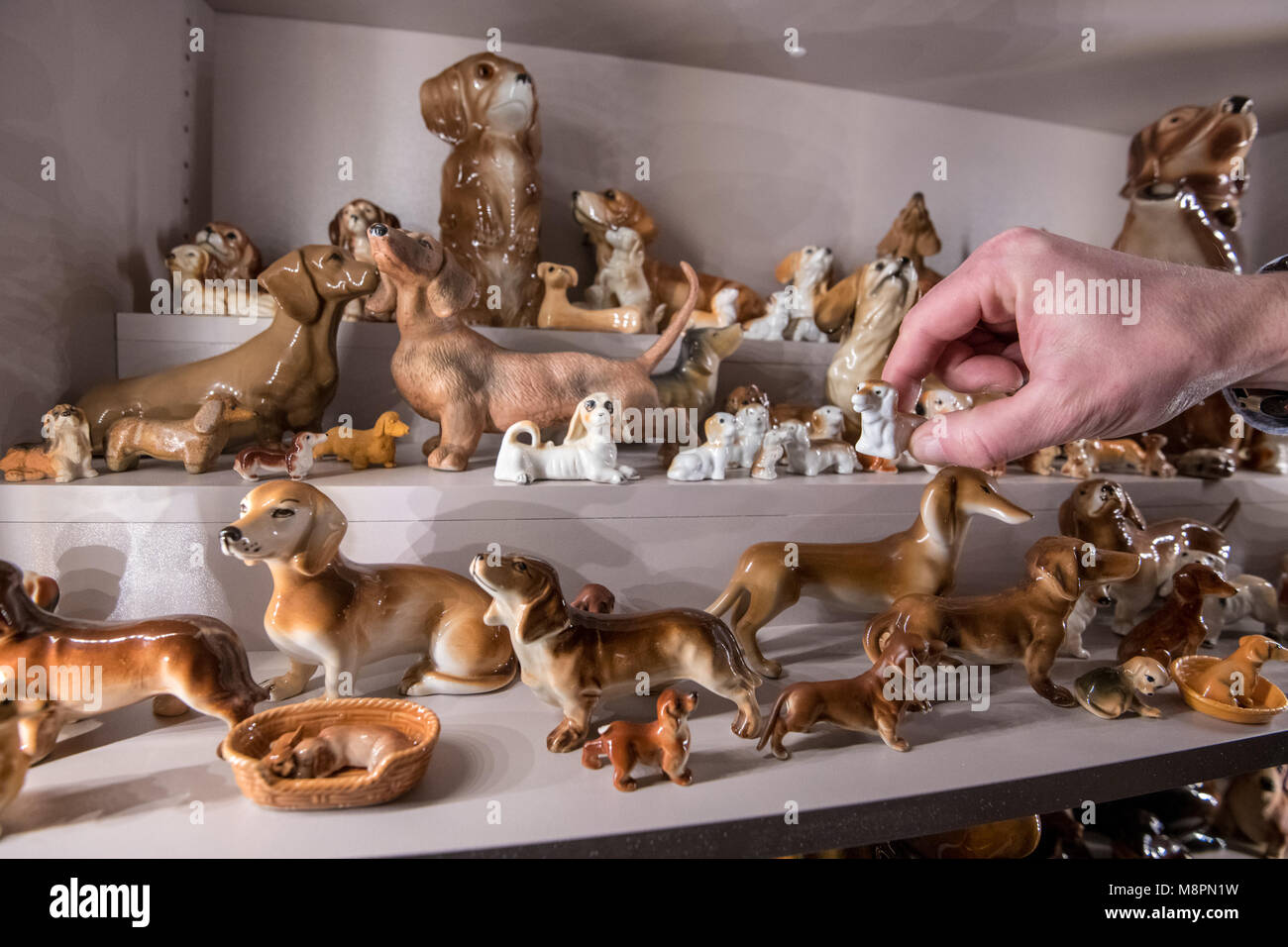 ANCIENNE FIGURINE CHIEN Teckel Salière Poivrière En Porcelaine Fine Germany 1950 EUR 15,00