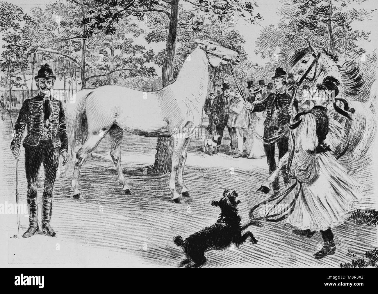 International Horse Show, en septembre 1900, demi-sang arabe chevaux du gouvernement hongrois, Photo de l'hebdomadaire français journal l'illustration, 22D, septembre 1900 Banque D'Images