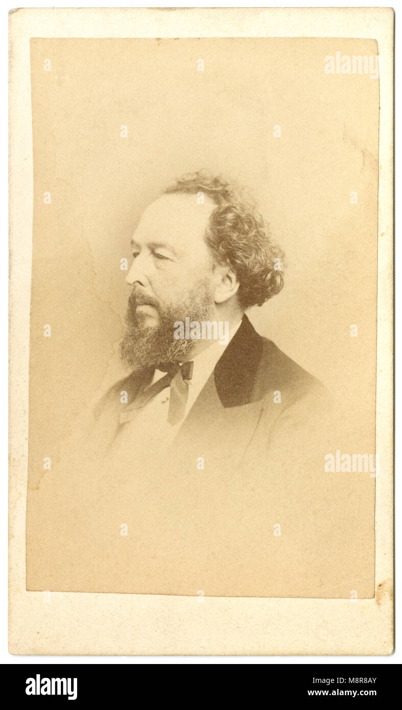 Meubles anciens c1860 Carte de visite, Bayard Taylor. Bayard Taylor (1825-1878) est un écrivain, poète, critique littéraire, traducteur, auteur de voyage, et diplomate. SOURCE : CDV ORIGINAL Banque D'Images