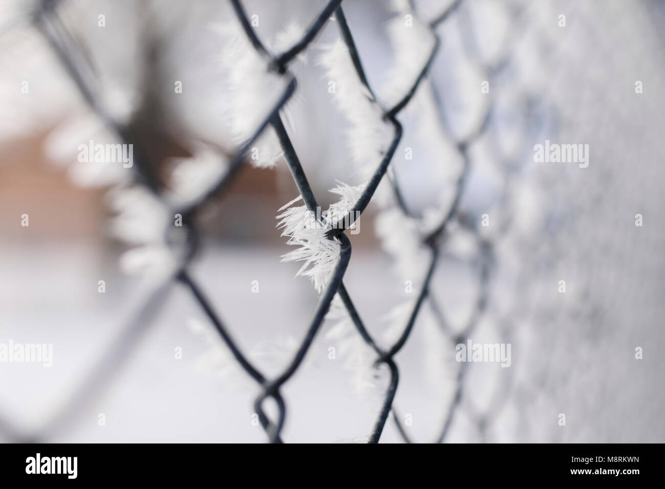 Close-up de frosted chainlink fence Banque D'Images
