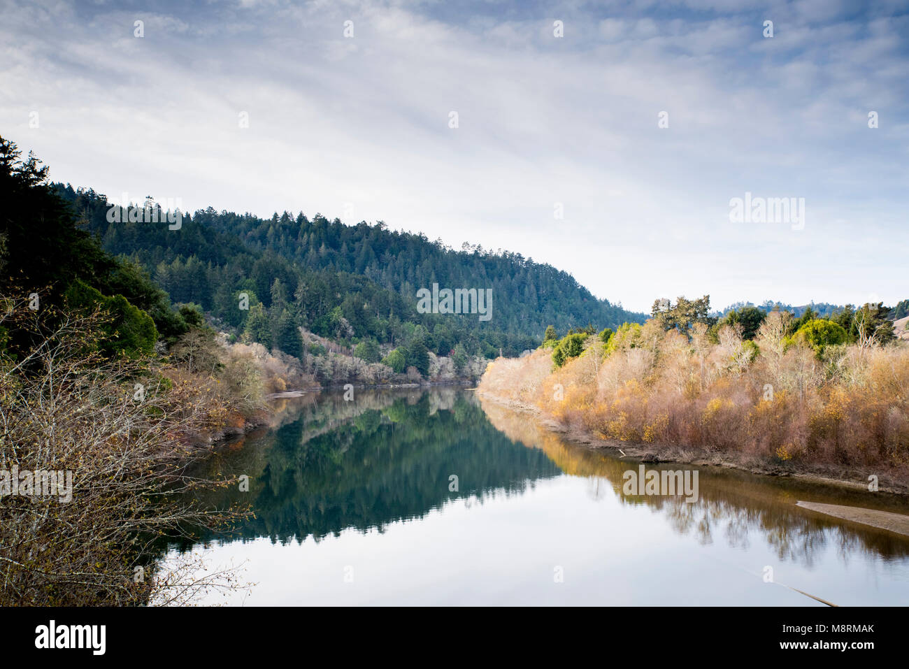 Vue panoramique du lac calme au milieu d'arbres et plantes contre ciel nuageux Banque D'Images