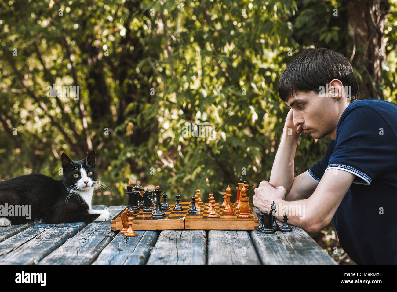 Vue de côté de l'homme sérieux à la recherche de pièces d'échecs par chat sur table en bois à l'arrière-cour Banque D'Images