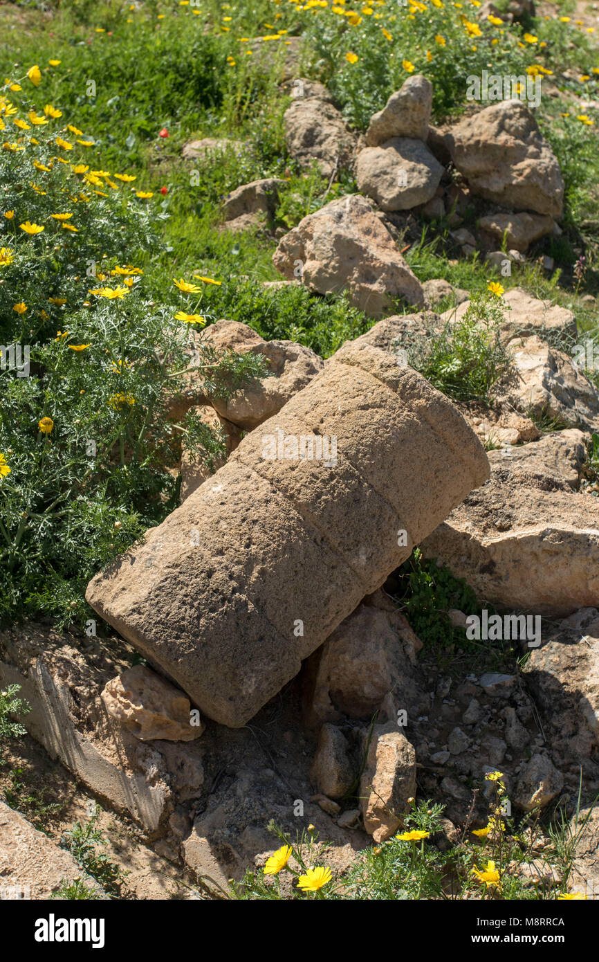 Le musée archéologique à Pegeia, Agios Georgious à l'extrémité sud de la péninsule d'Akemas, Paphos, Chypre de district Banque D'Images