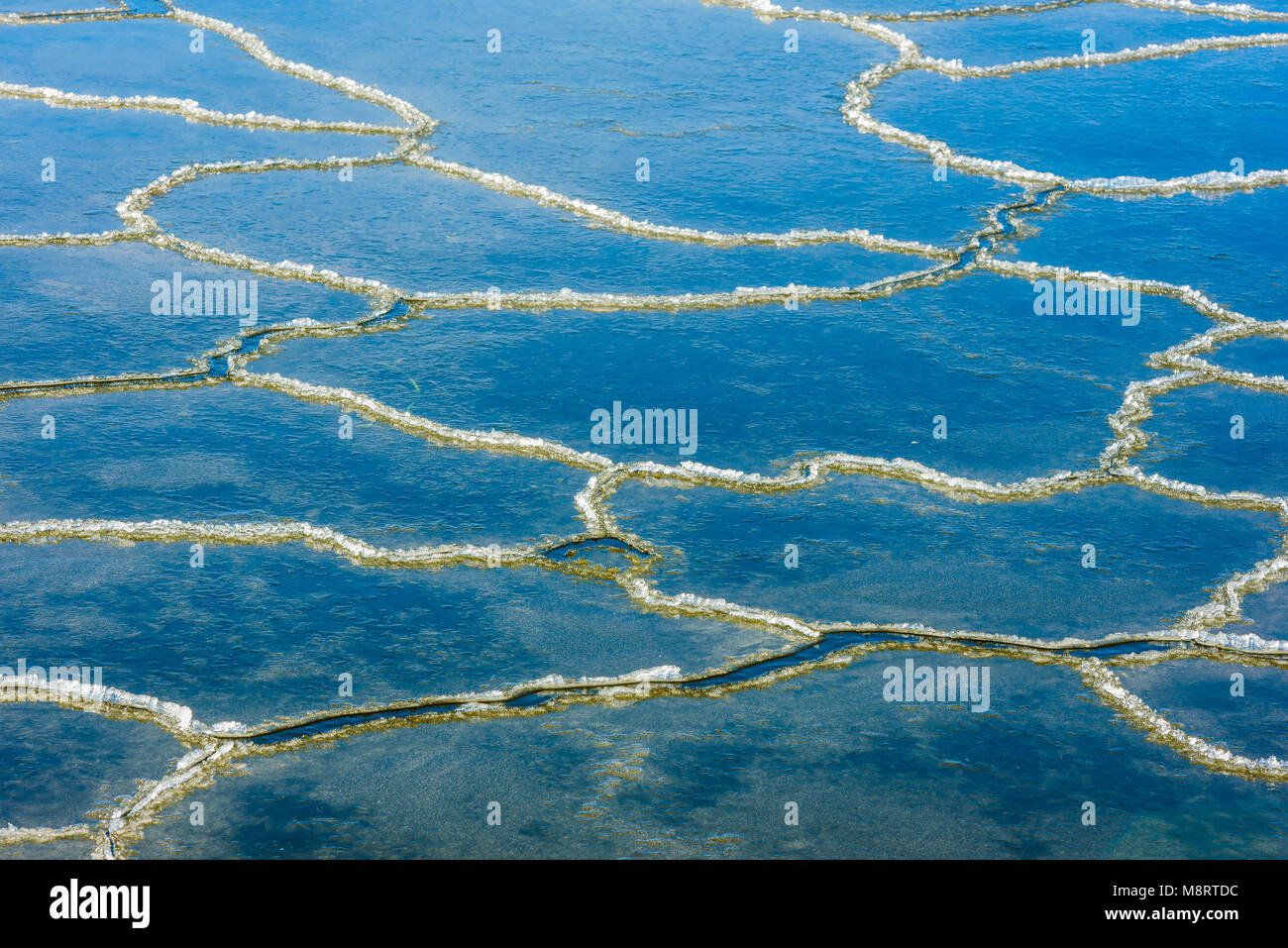 Ciel bleu reflété dans les inlandsis flottant dans une mer calme. Banque D'Images