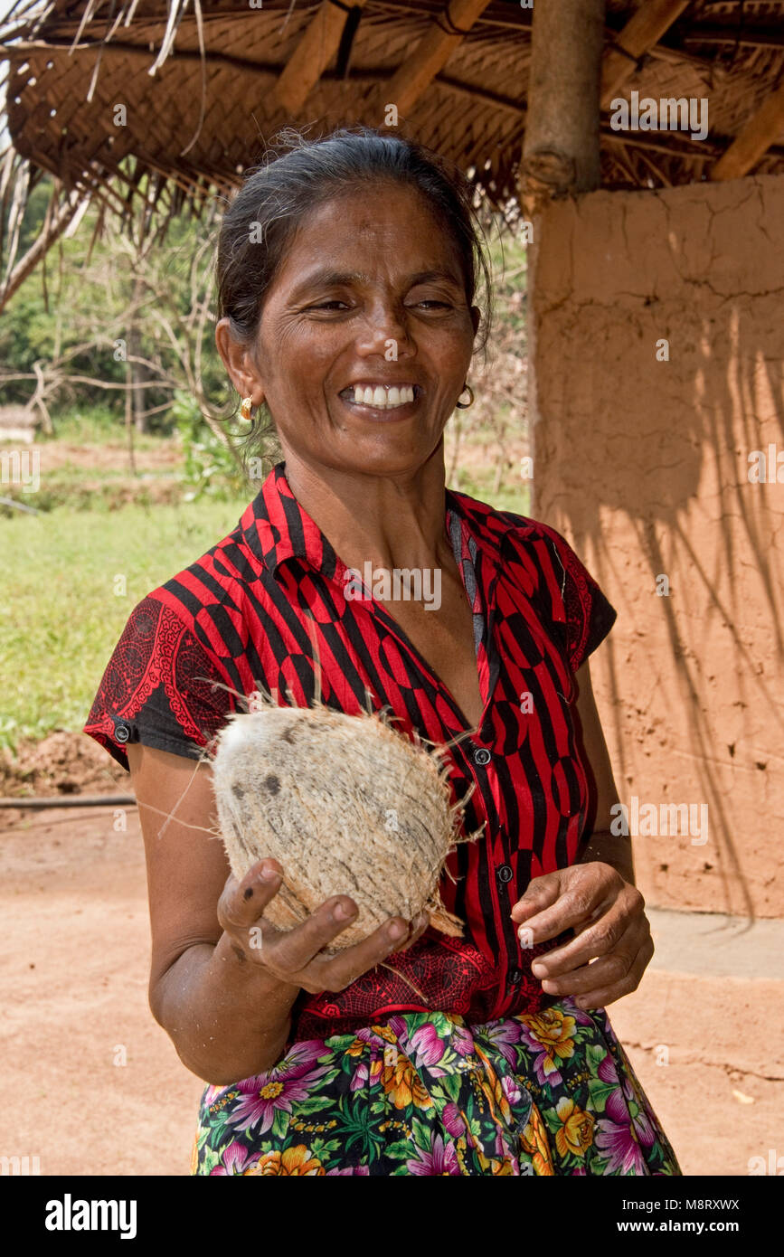 Une femme sri lankaise locale montrant la noix de coco qu'elle vient de couper l'épi chez sa maison, une petite ferme près de Sigiriya. Banque D'Images