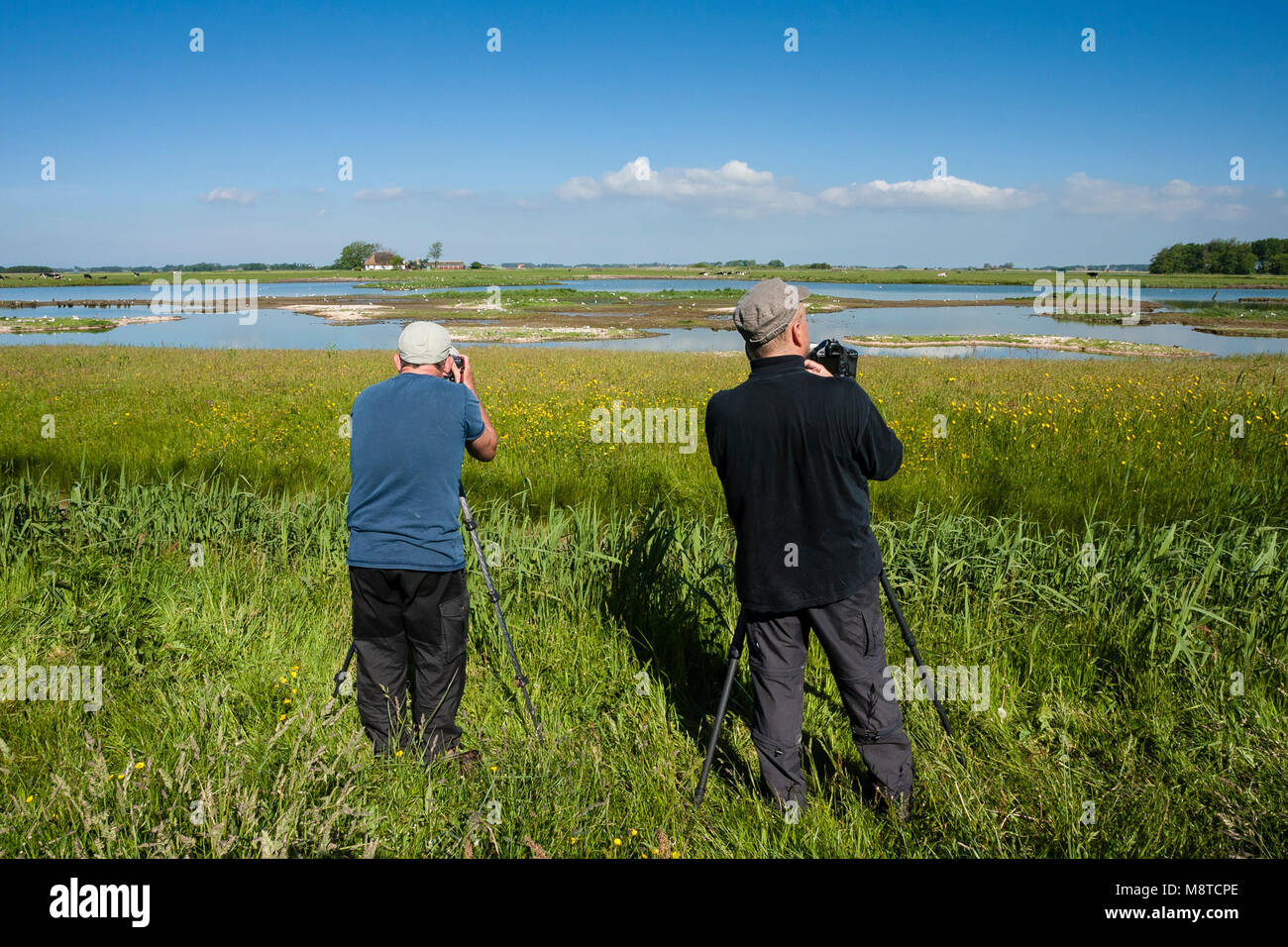 Dans Vogelfotografen actie bij waterplas rencontré vogels ; photographes d'oiseaux en action au lac avec des oiseaux Banque D'Images