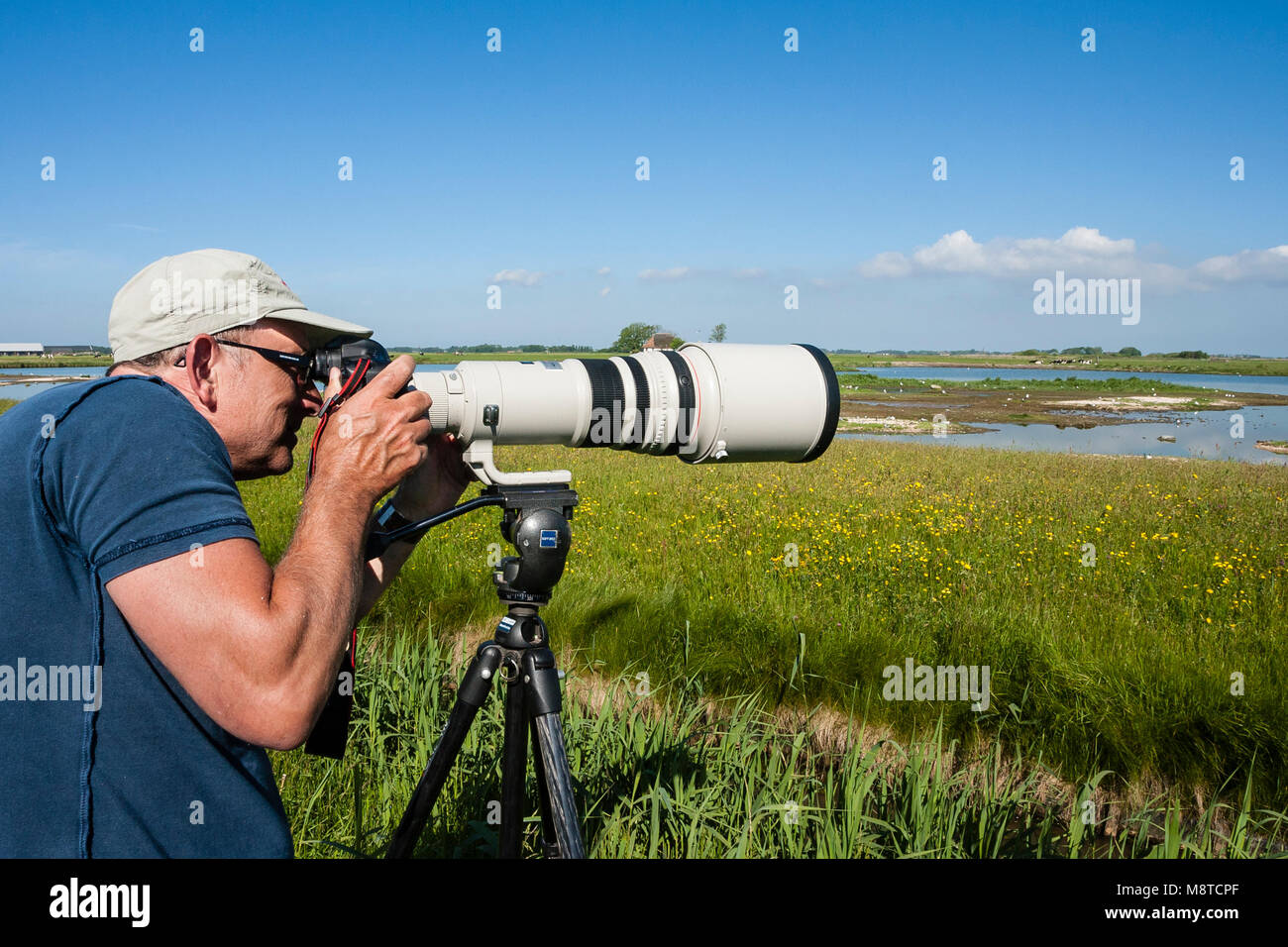 Homme fotografeert vogels dans waterplas ; l'homme photographié dans le lac des oiseaux Banque D'Images