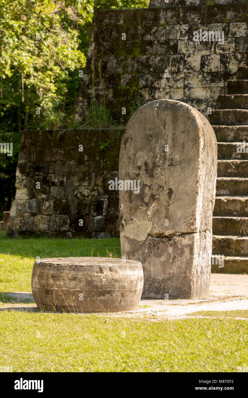 Pyramide et stèle à la zone de la complexe Q les ruines mayas de Tikal, Guatemala Banque D'Images