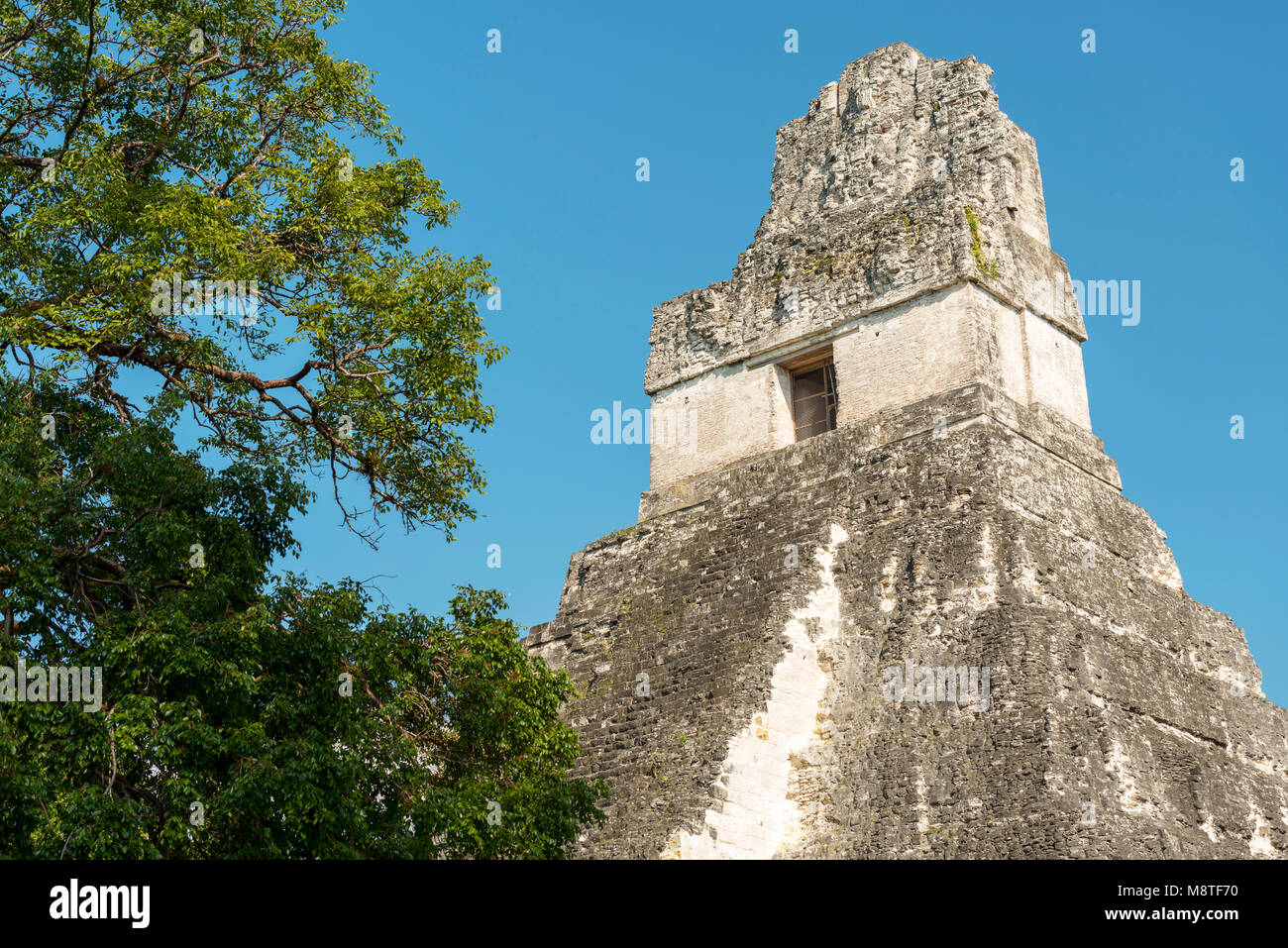 Temple 1, également connu sous le nom de temple de Jaguar, dans le parc national de Tikal, Guatemala en Amérique centrale Banque D'Images