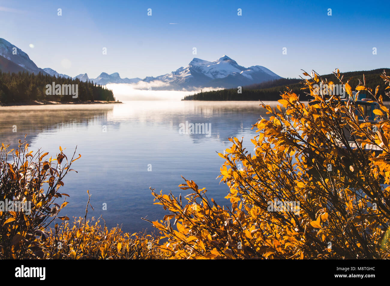 Le Parc National Jasper, Alberta Banque D'Images