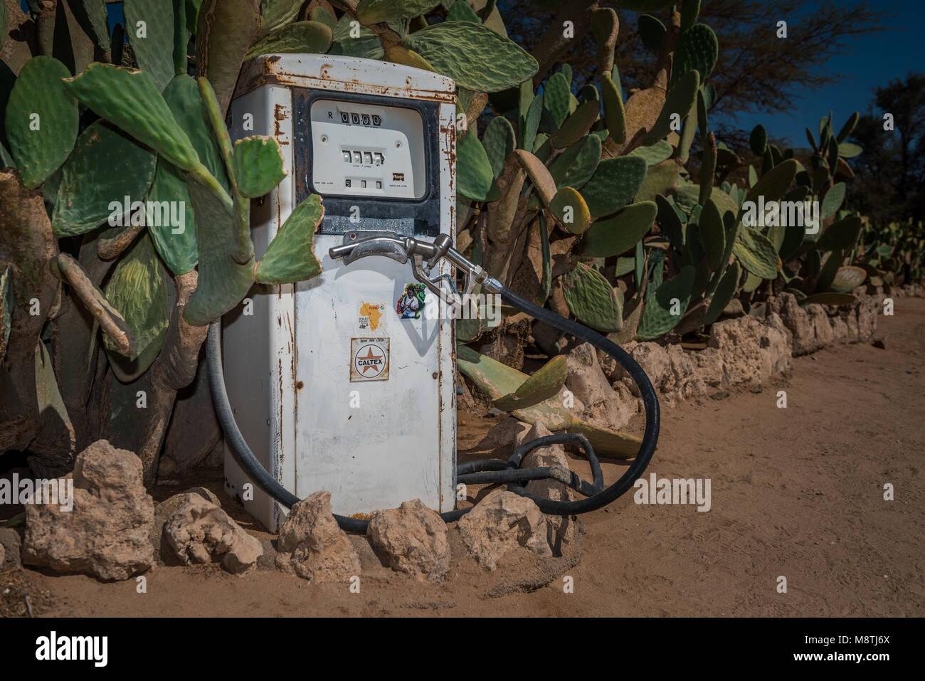 Une ancienne pompe à essence entre un étranger cactus à la Namibie désert légendaire de pit-stop de Solitaire Banque D'Images
