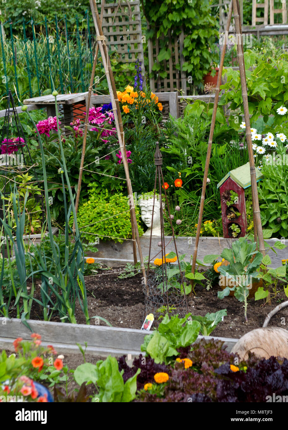 Belle parcelle de jardin et artistique dans un jardin communautaire. Banque D'Images