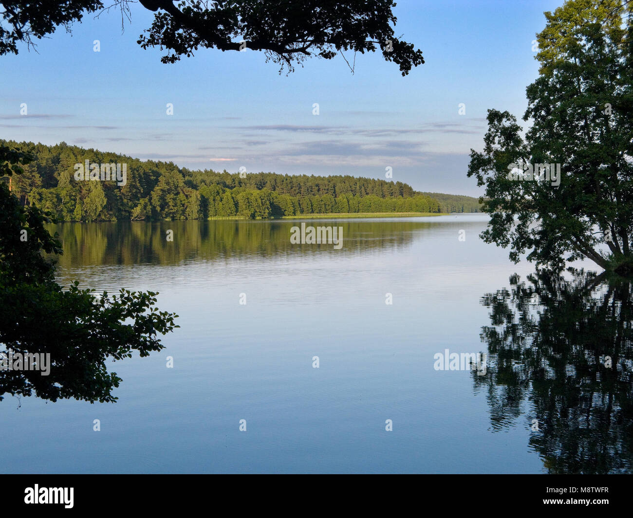 Dybrzk lake. Les pinèdes de Tuchola, province de Poméranie, Pologne, l'Europe. Banque D'Images