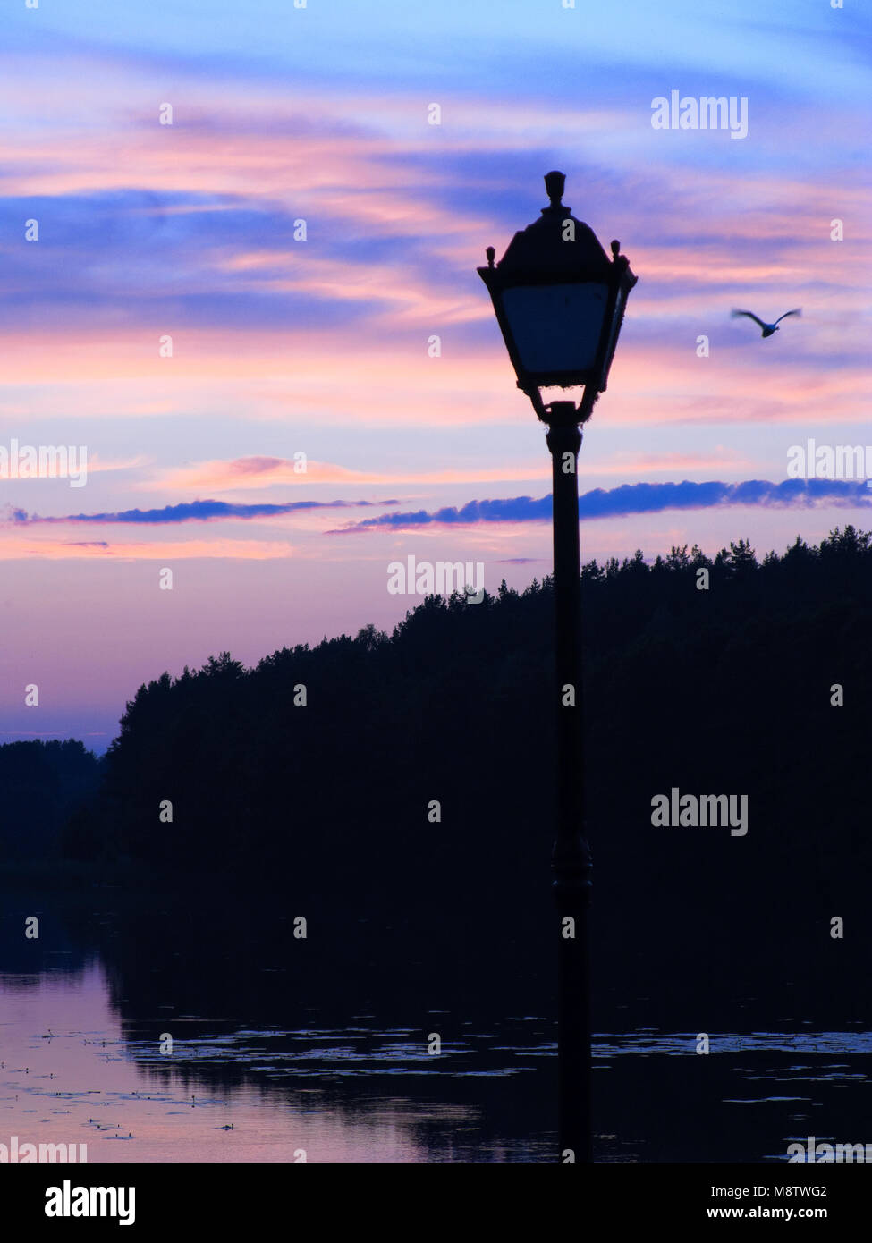 Coucher de soleil sur Mylof lake. Les pinèdes de Tuchola, province de Poméranie, Pologne, l'Europe. Banque D'Images