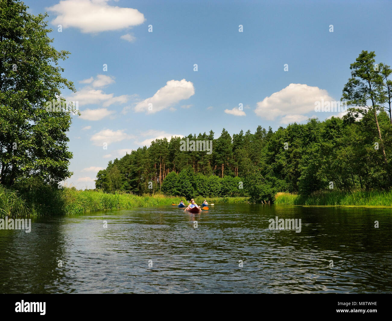 Canoë sur la piste de la rivière Brda. Les pinèdes de Tuchola, province de Poméranie, Pologne, l'Europe. Banque D'Images