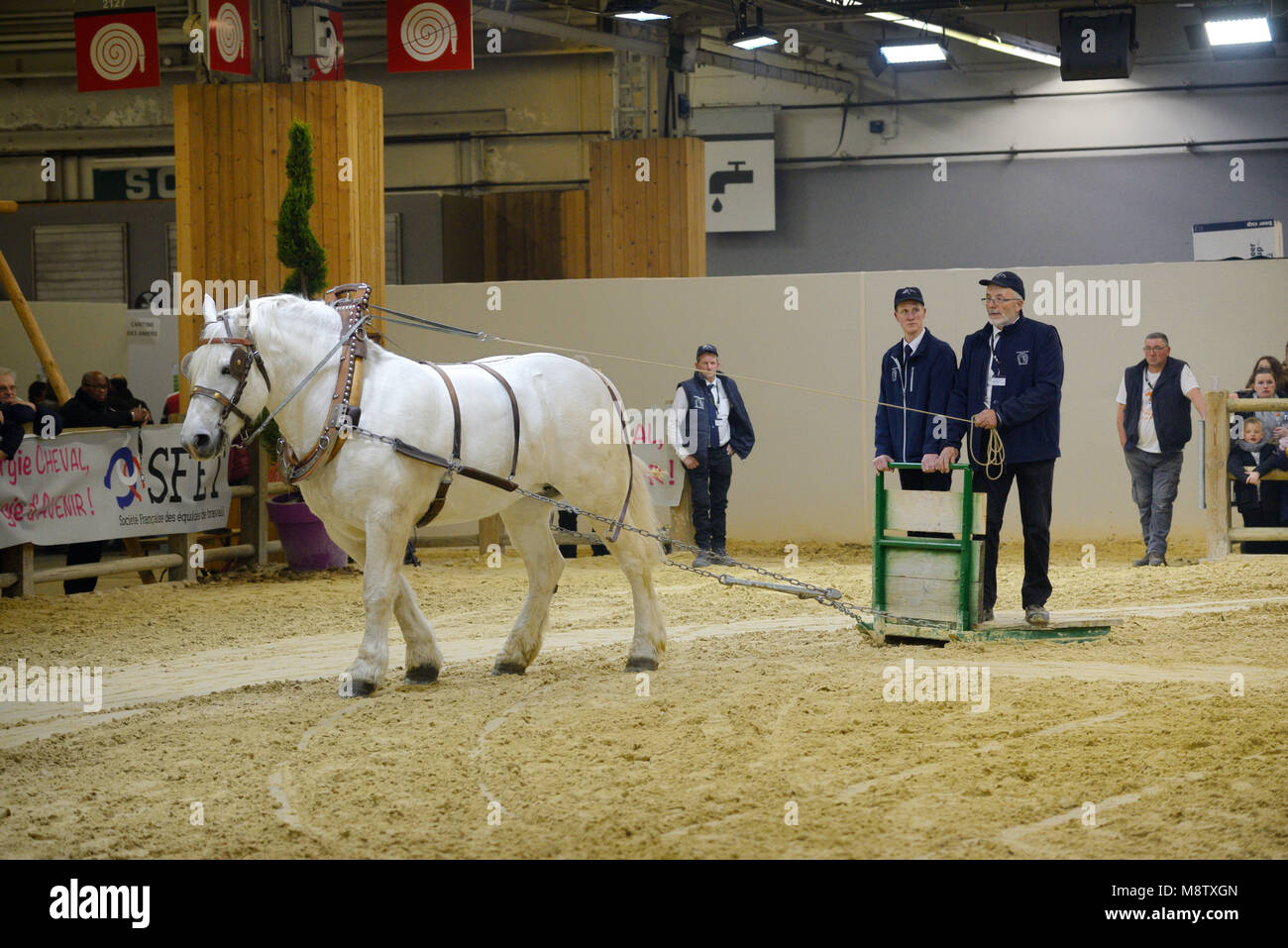 Exposition ou démonstration d'un Cheval de Trait Boulonnais traîneau tirant au Salon International de l'Agriculture de Paris Paris France Banque D'Images