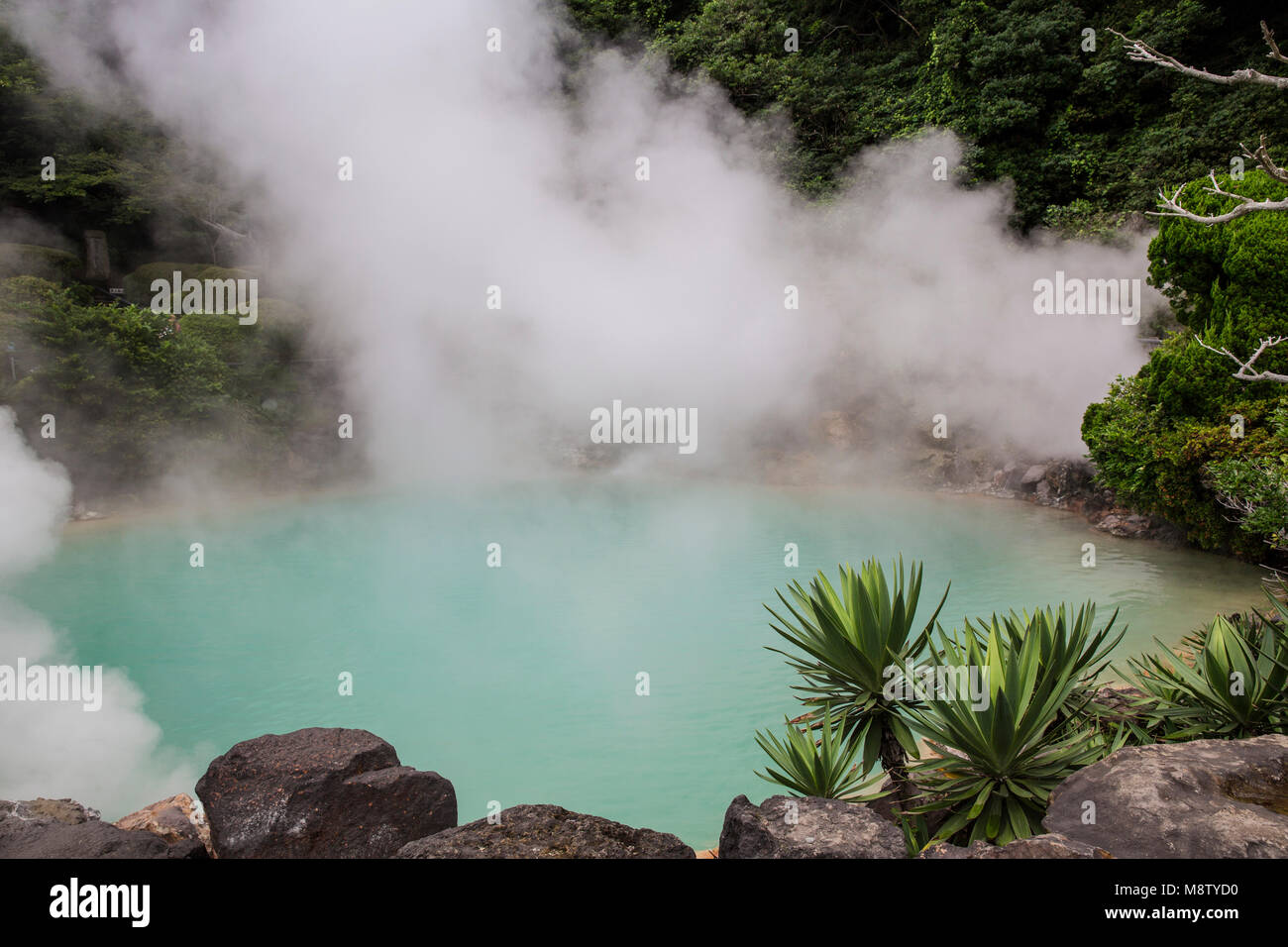 Umi Jigoku à Beppu, Japon, "l'Enfer", son nom vient de l'étang bleu cobalt de l'eau bouillante. Banque D'Images