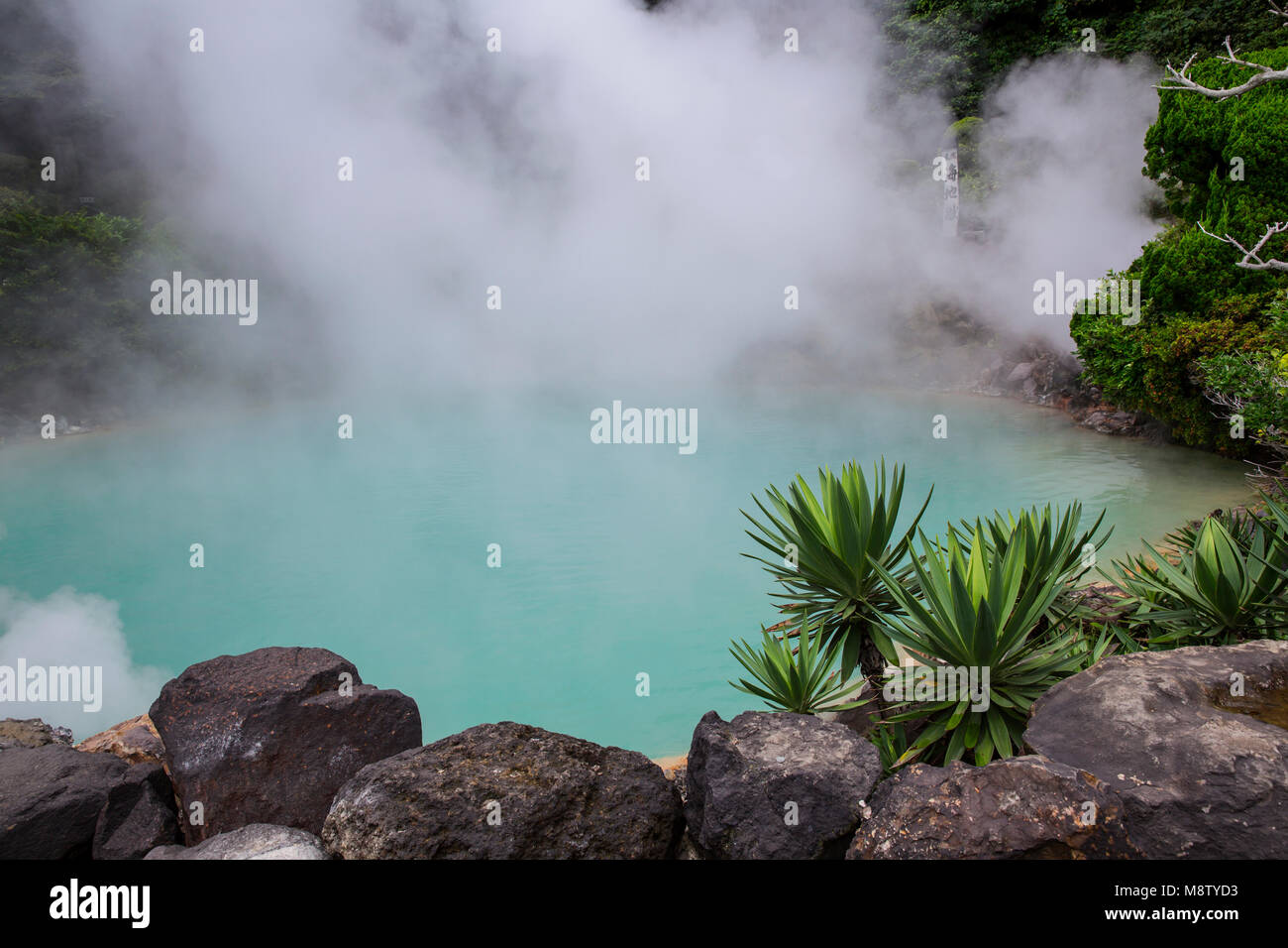 Umi Jigoku à Beppu, Japon, "l'Enfer", son nom vient de l'étang bleu cobalt de l'eau bouillante. Banque D'Images