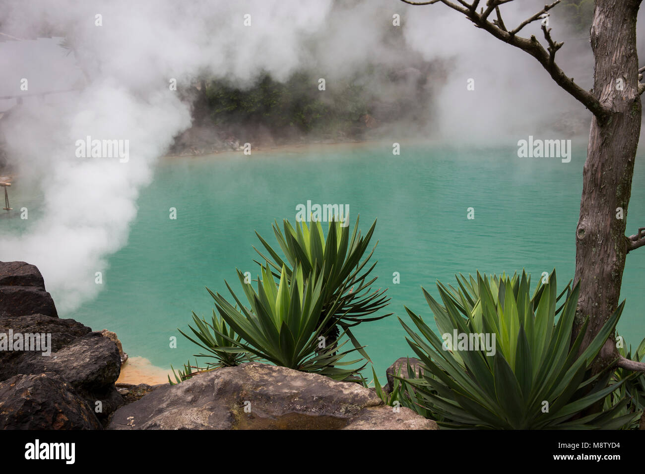 Umi Jigoku à Beppu, Japon, "l'Enfer", son nom vient de l'étang bleu cobalt de l'eau bouillante. Banque D'Images