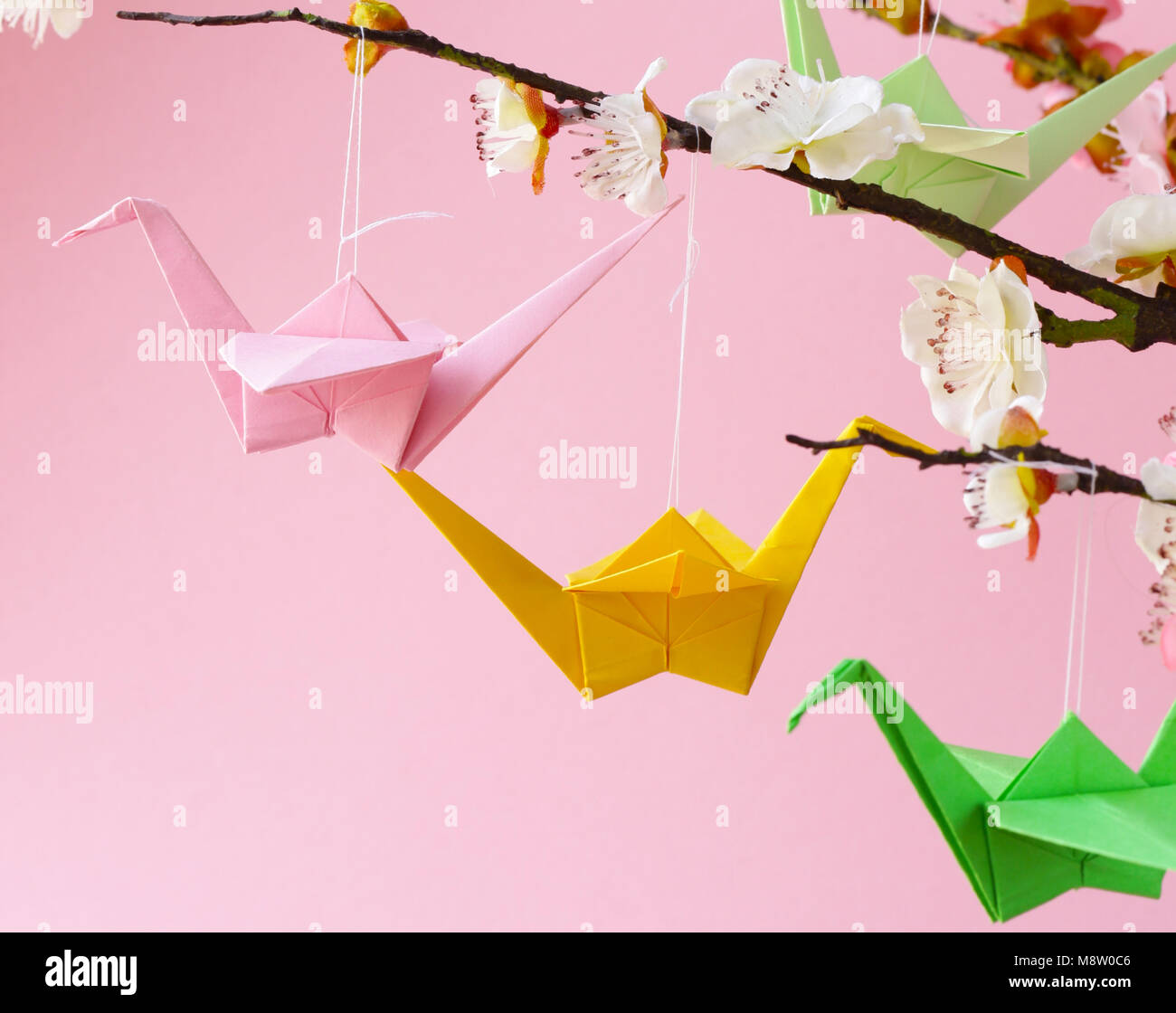 Papier origami cranes un symbole sur les branches de fleurs de cerisier Banque D'Images