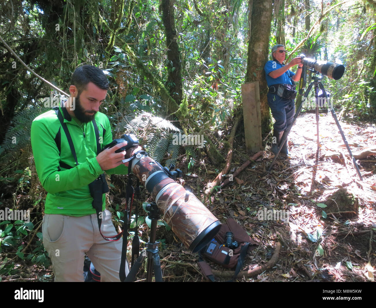 Photographes d'oiseaux, Rio Blanco, Colombie Banque D'Images