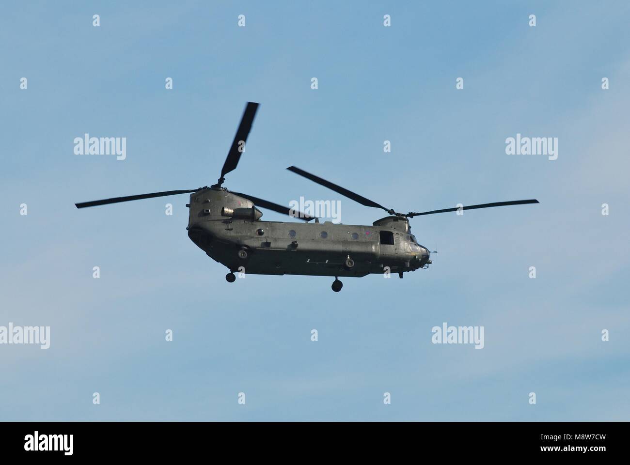Un hélicoptère Chinook de Boeing HC2 de la RAF doit effectuer à l'Airshow 29-11-2013 à Eastbourne, Angleterre le 11 août 2012. Banque D'Images