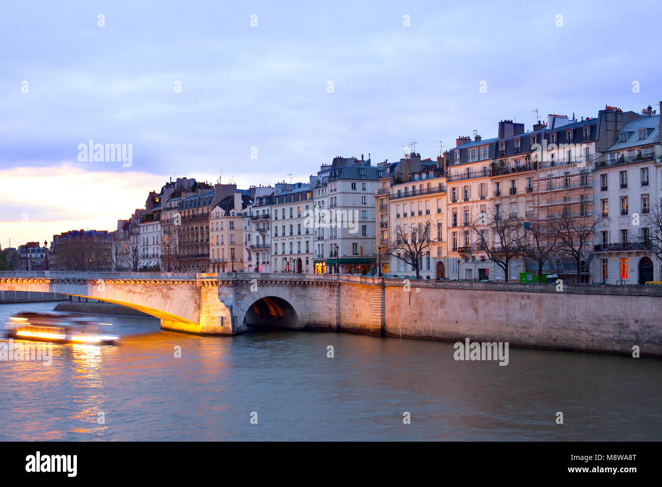Bateau sur la Seine en passant par pont de la Tournelle pont en face de l'Ile Saint Louis, Paris, France Banque D'Images