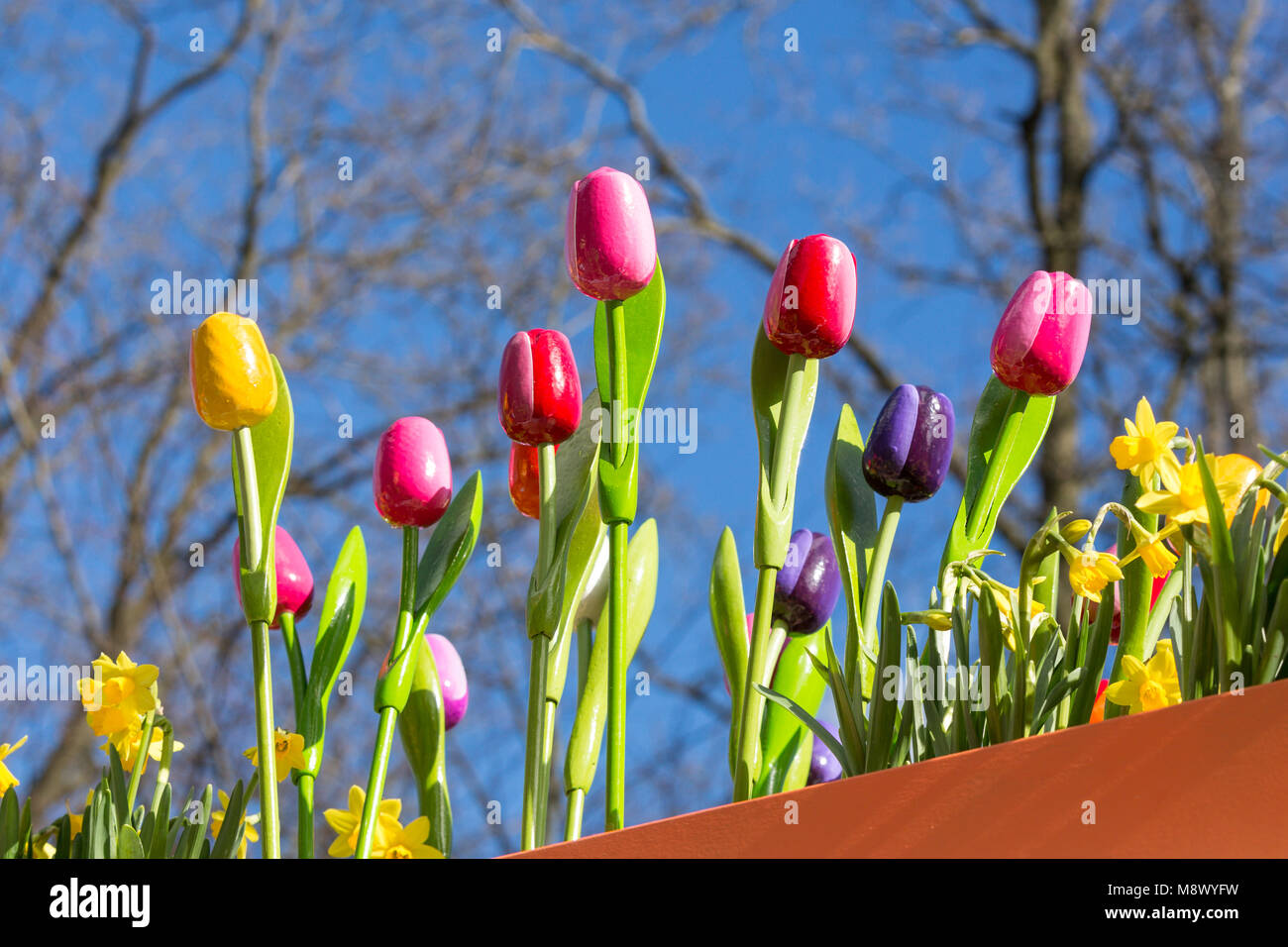 LISSE, Pays-Bas - le 20 mars 2018 - Au cours de l'ouverture de la saison 2018 Les jardins de Keukenhof la première tulipe en bois coloré de l'histoire du jardin ont été présentés n le Jardin des rebelles. Le thème de cette année est l'amour. Photo : Marcel van den Bos/Alamy Live News Banque D'Images