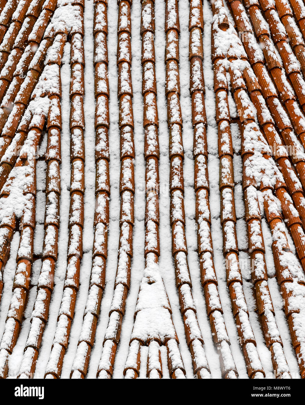 20 mars 2018, l'Allemagne, l'Grosspuerschuetz : un toit de tuiles sur la Szinérváralja près de Kahla est recouverte de neige. Après les fortes chutes de neige Thuringe connaît des températures winterly. Photo : Jens Kalaene/dpa Banque D'Images