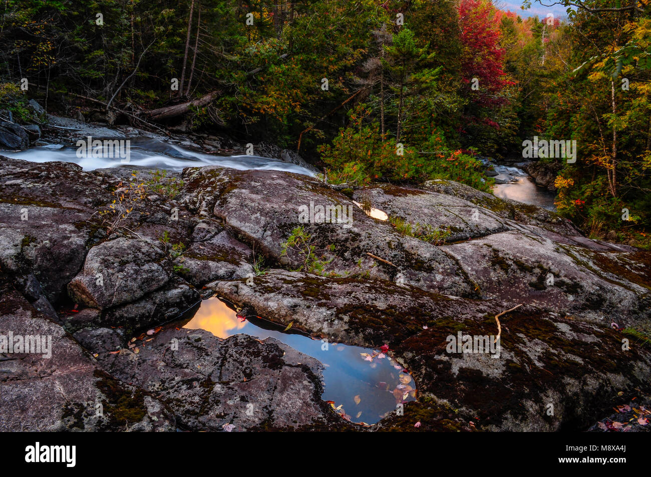 Santanoni Brook, High Peaks Wilderness Area, Adirondack Forest Preserve, New York Banque D'Images
