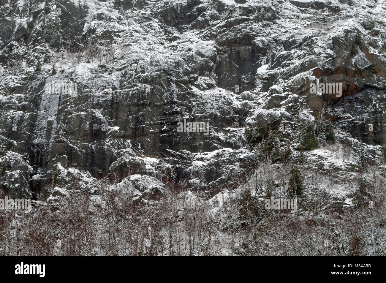 Wallface, High Peaks Wilderness Area, Adirondack Forest Preserve, New York Banque D'Images