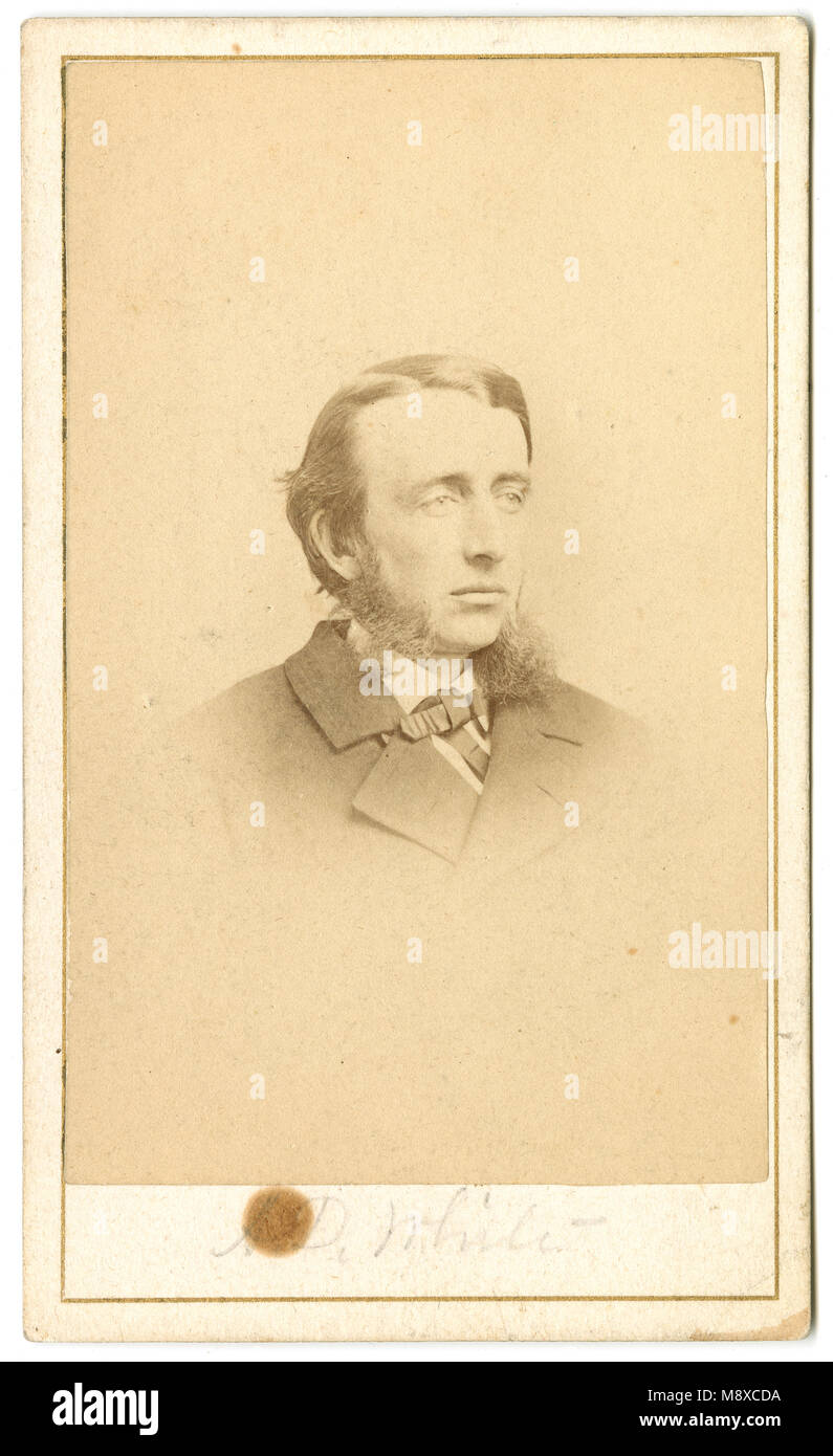 Meubles anciens c1860 Carte de visite, Andrew Dickson White. Andrew Dickson White (1832-1918) était un historien américain et un éducateur, qui était le co-fondateur de l'Université Cornell et a été son premier président depuis près de deux décennies. Un homme politique, il a été sénateur de l'état de New York. SOURCE : CDV ORIGINAL Banque D'Images
