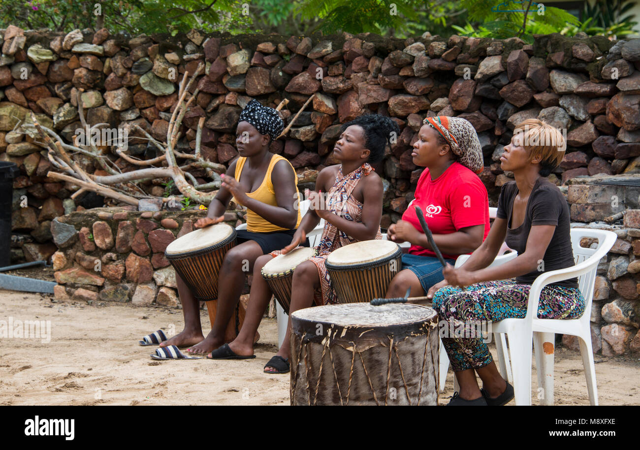Femme africaine jouant sur la batterie, le bongo la façon traditionnelle de la musique, ils effectuent aussi pour les touristes dans les lodges Banque D'Images