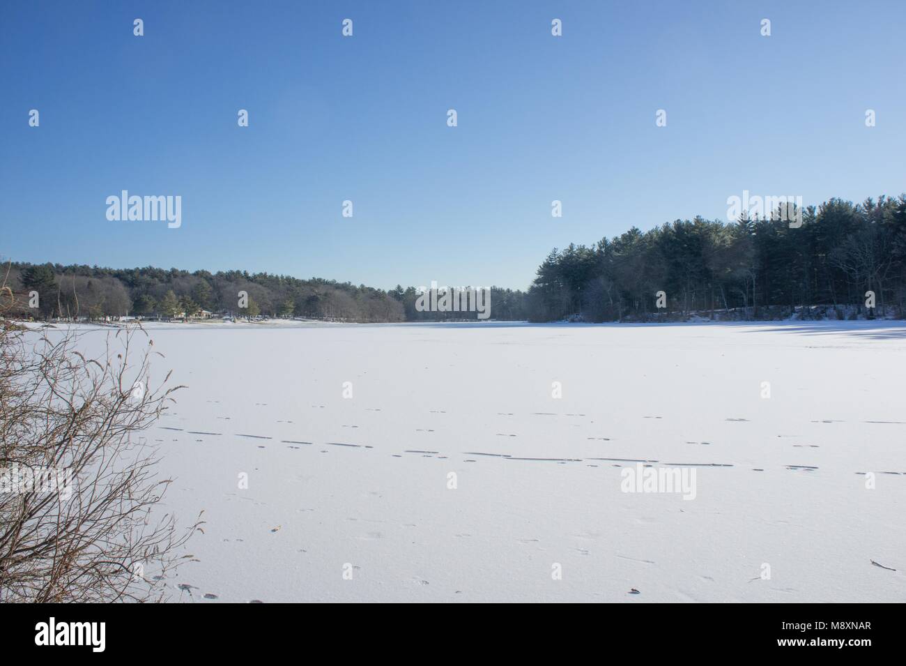 Situé à Milton, MA et niché dans les collines bleues Réservation, Houghton's Pond est montré gelés en hiver Banque D'Images