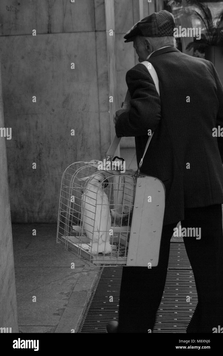 Un homme qui prend son perroquet dans une cage pour une promenade autour de Milan Banque D'Images