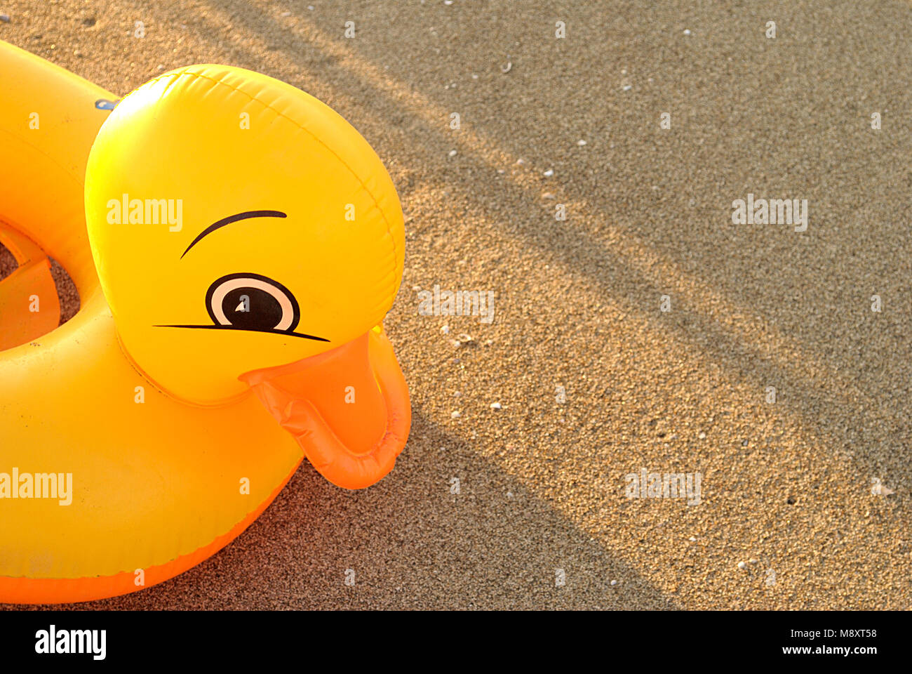 Bouee De Sauvetage De Canard Banque D Image Et Photos Alamy