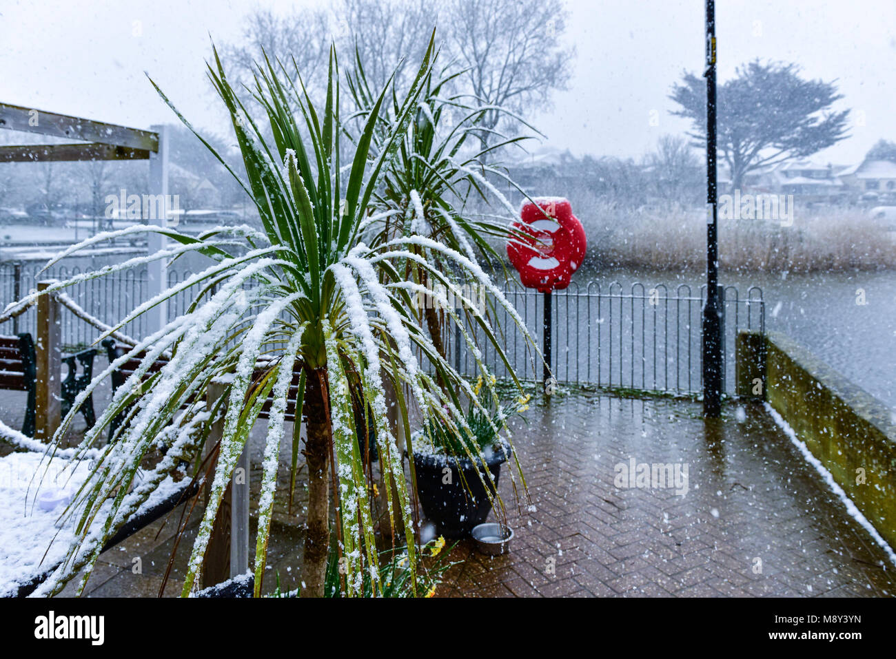 Conditions météo atypique à Cornwall avec la neige qui tombe sur Trenance lac de plaisance à Newquay Cornwall. Banque D'Images