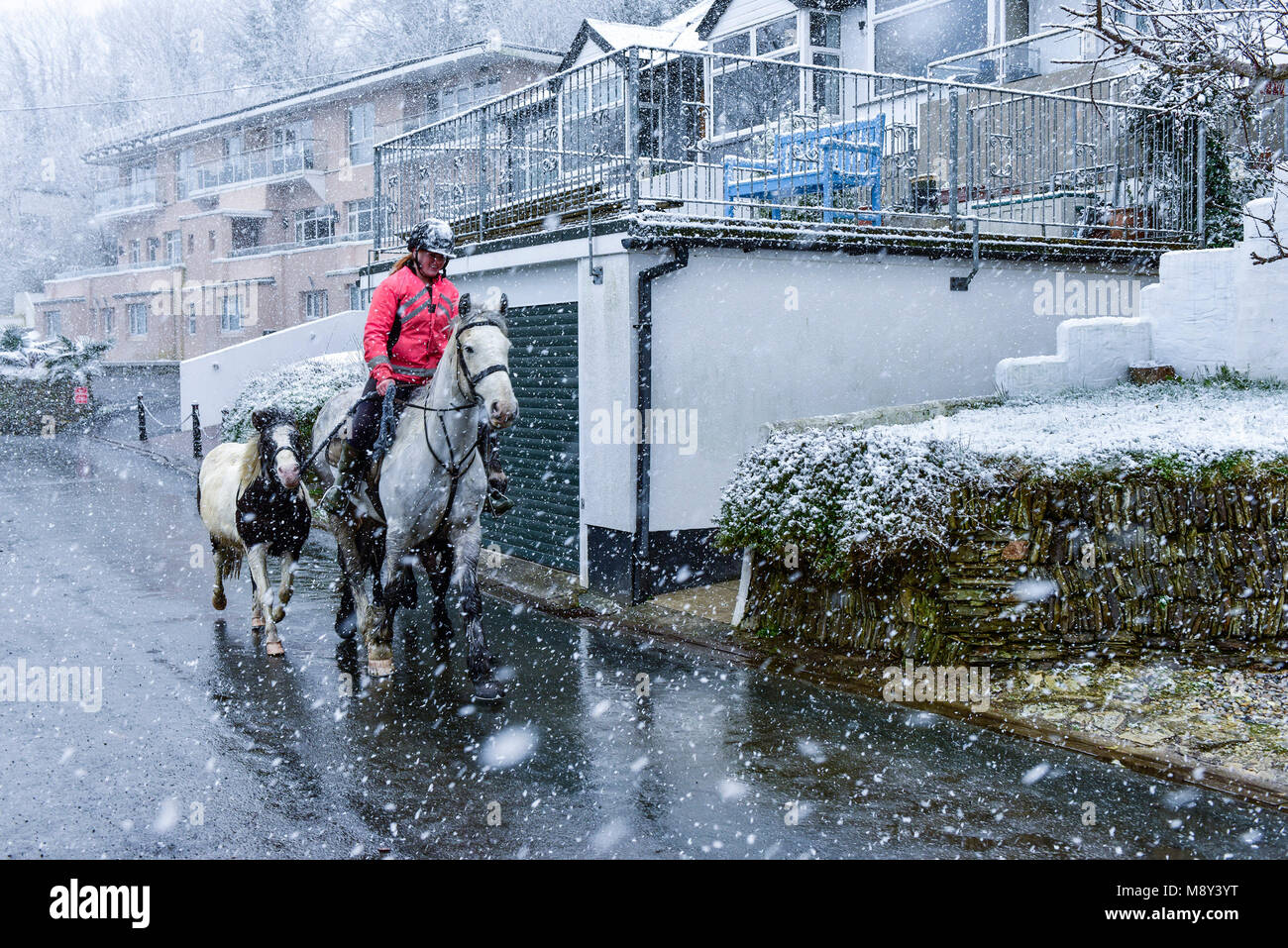 Un cheval-cavalier équitation son cheval à travers les fortes chutes de neige à Newquay Cornwall. Banque D'Images