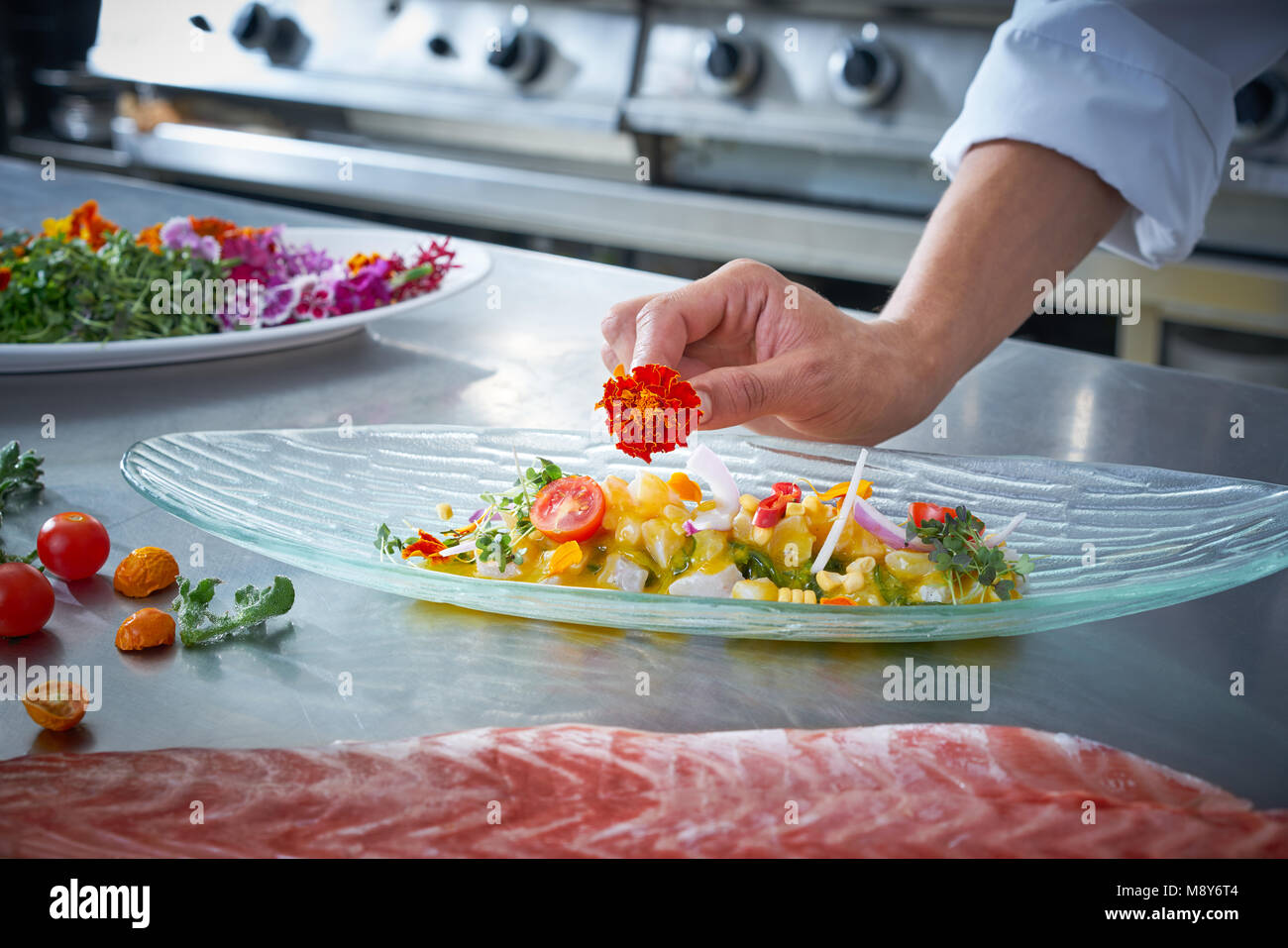 Chef de garnir les mains fleur en ceviche plat à la cuisine en acier inoxydable Banque D'Images