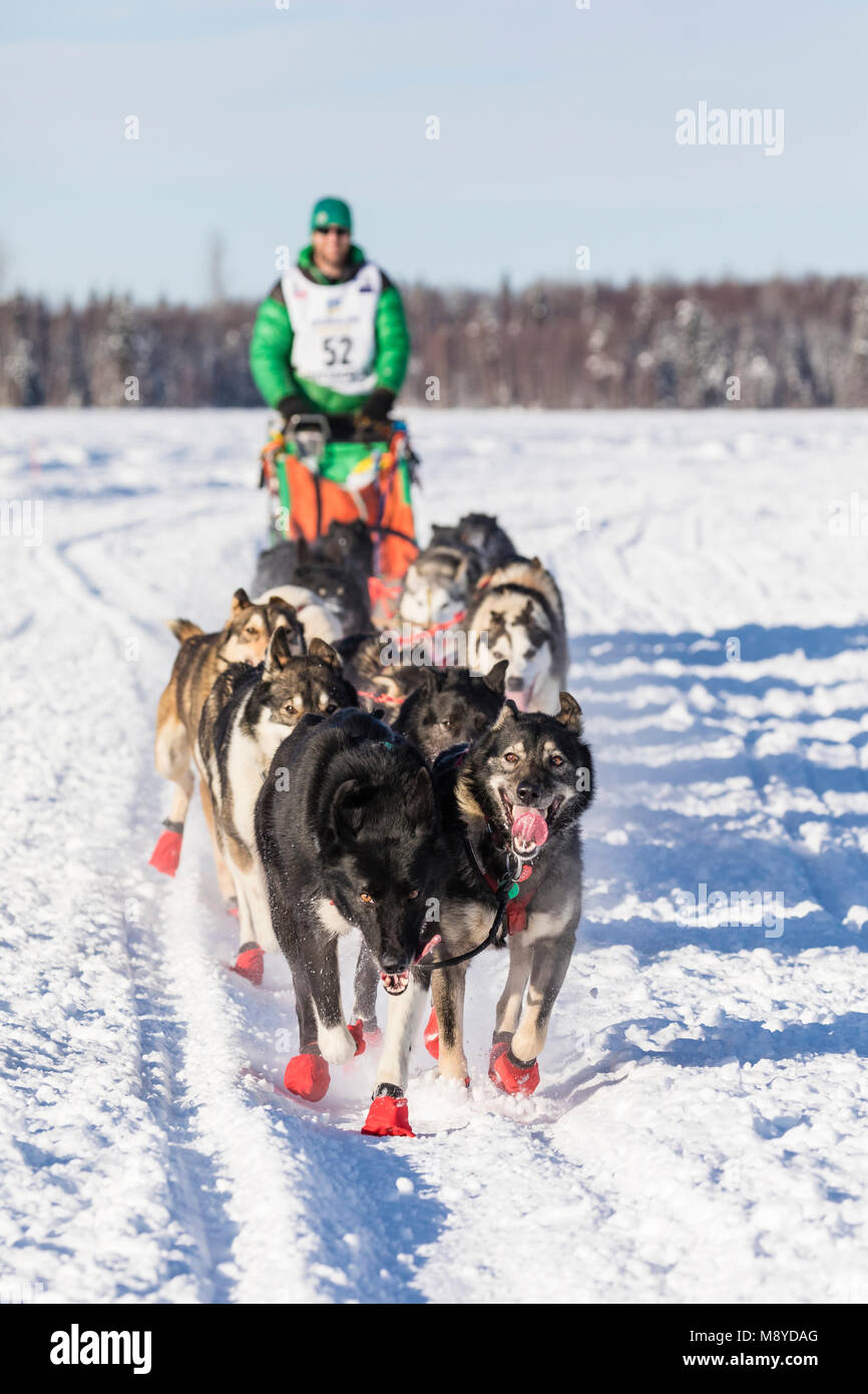 Musher Kelly Maixner après le redémarrage en saule de la 46e Iditarod Trail Sled Dog Race dans le sud de l'Alaska. Banque D'Images