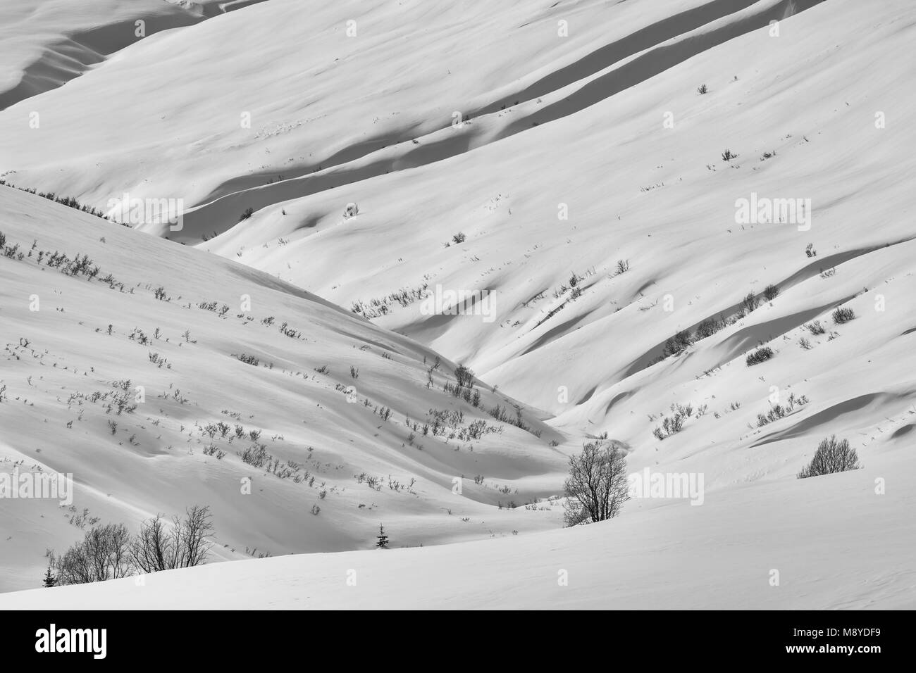 La couverture de neige Talkeetna Mountains, à Hatcher Pass crée des formes fluides à la fin de l'hiver dans le sud de l'Alaska. Banque D'Images