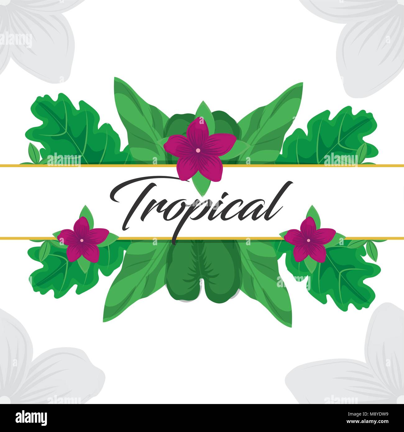 Tropic design feuilles et fleurs Illustration de Vecteur
