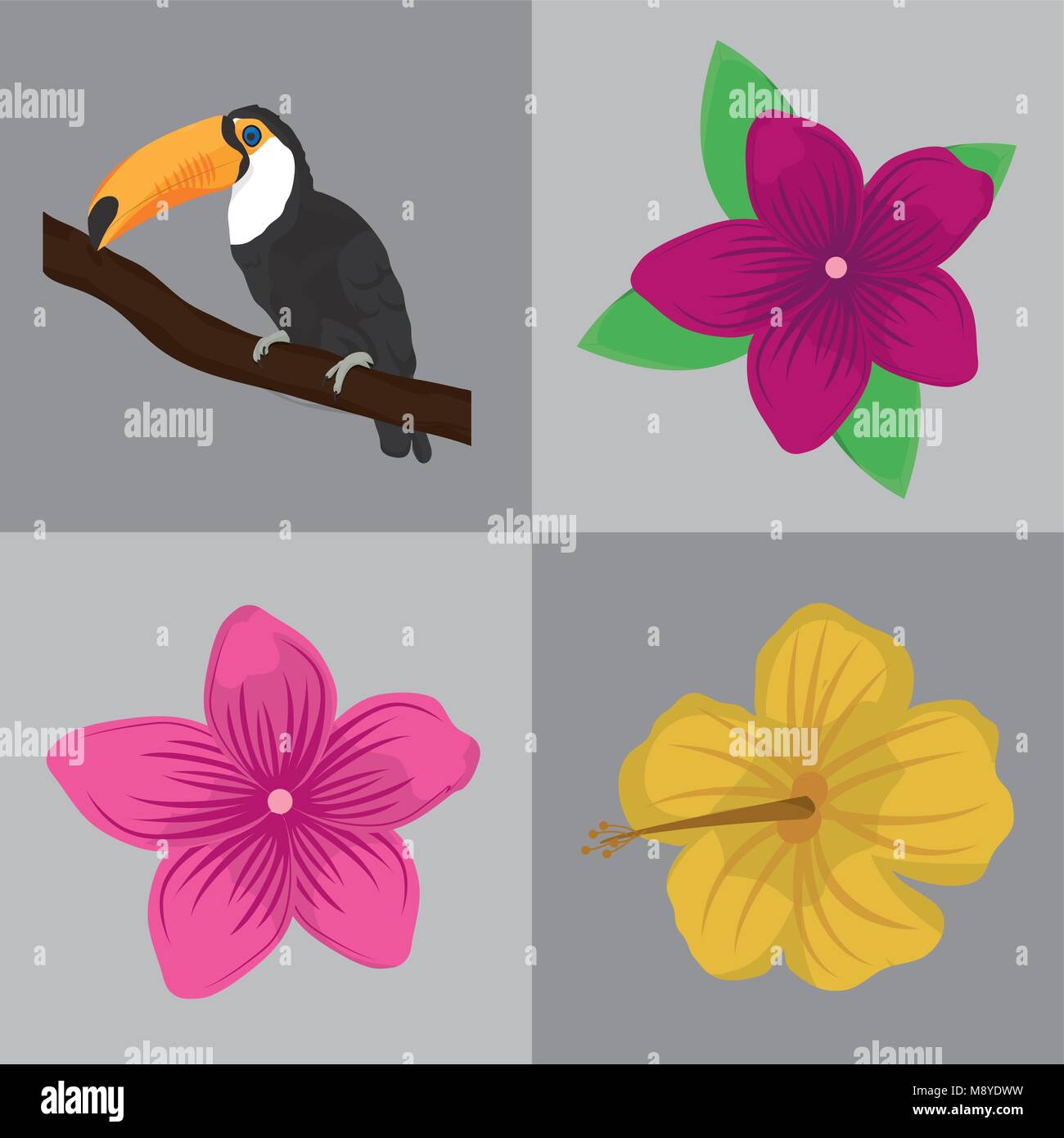Tropic fleurs et design toucan Illustration de Vecteur