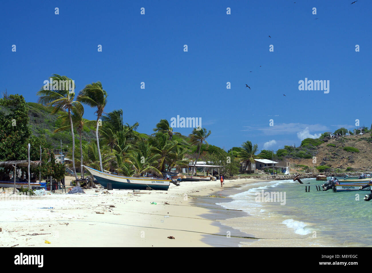 Belles îles des Caraïbes, l'archipel Los Testigos, Mar Caribe, Venezuela Banque D'Images