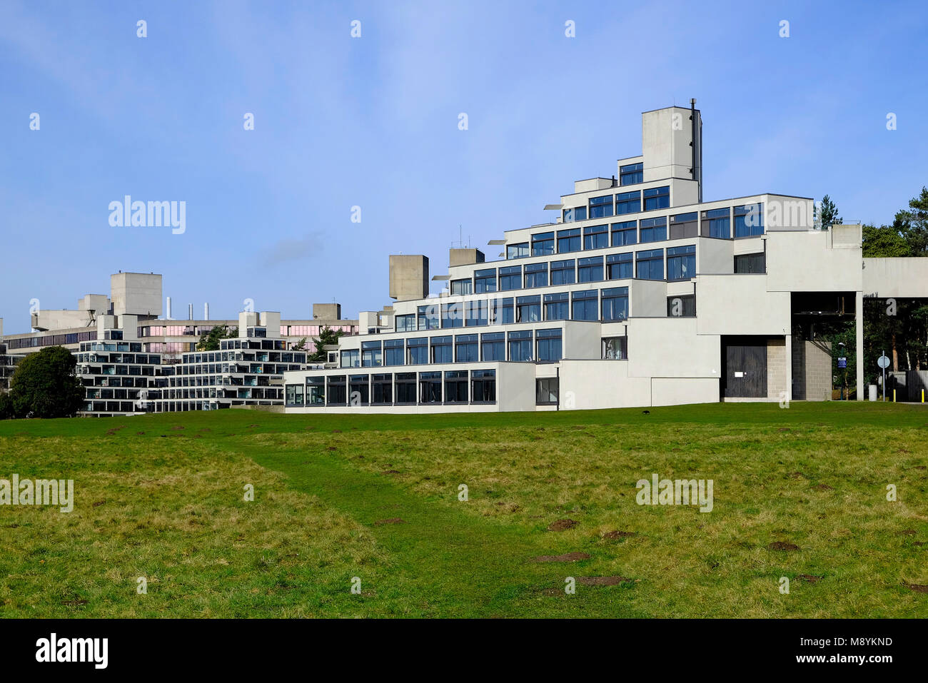 Chambres d'étudiants, UEA, Norwich, Norfolk, Angleterre Banque D'Images