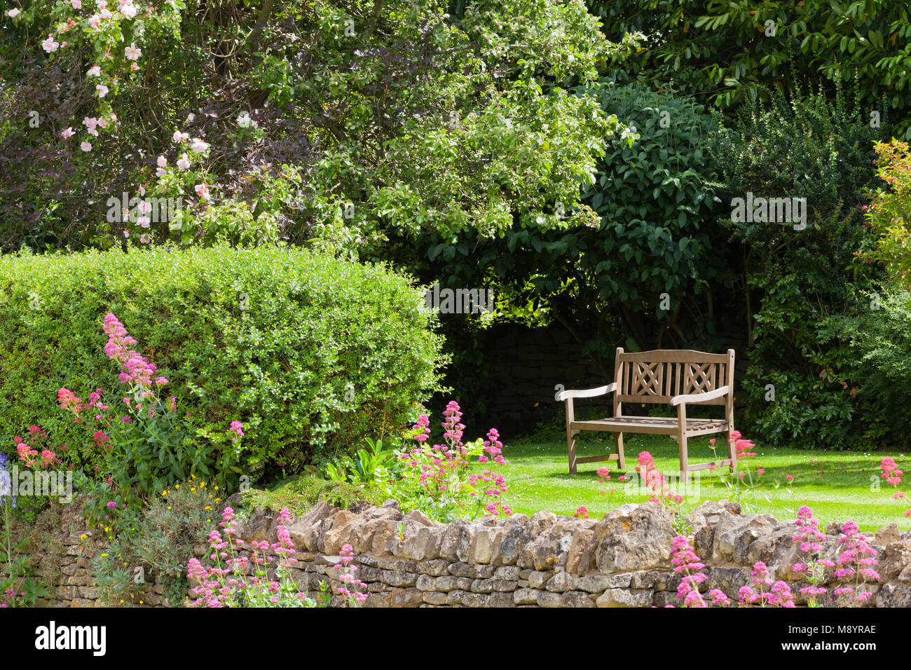 Banc en bois isolée d'été dans un jardin anglais avec des fleurs rose cottage, rosier, arbustes, par Rocky Stone Wall . Banque D'Images